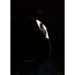 Coleman Valdes Deluxe 4xl Air Blackout Tent -Camping Store 2000037563 16